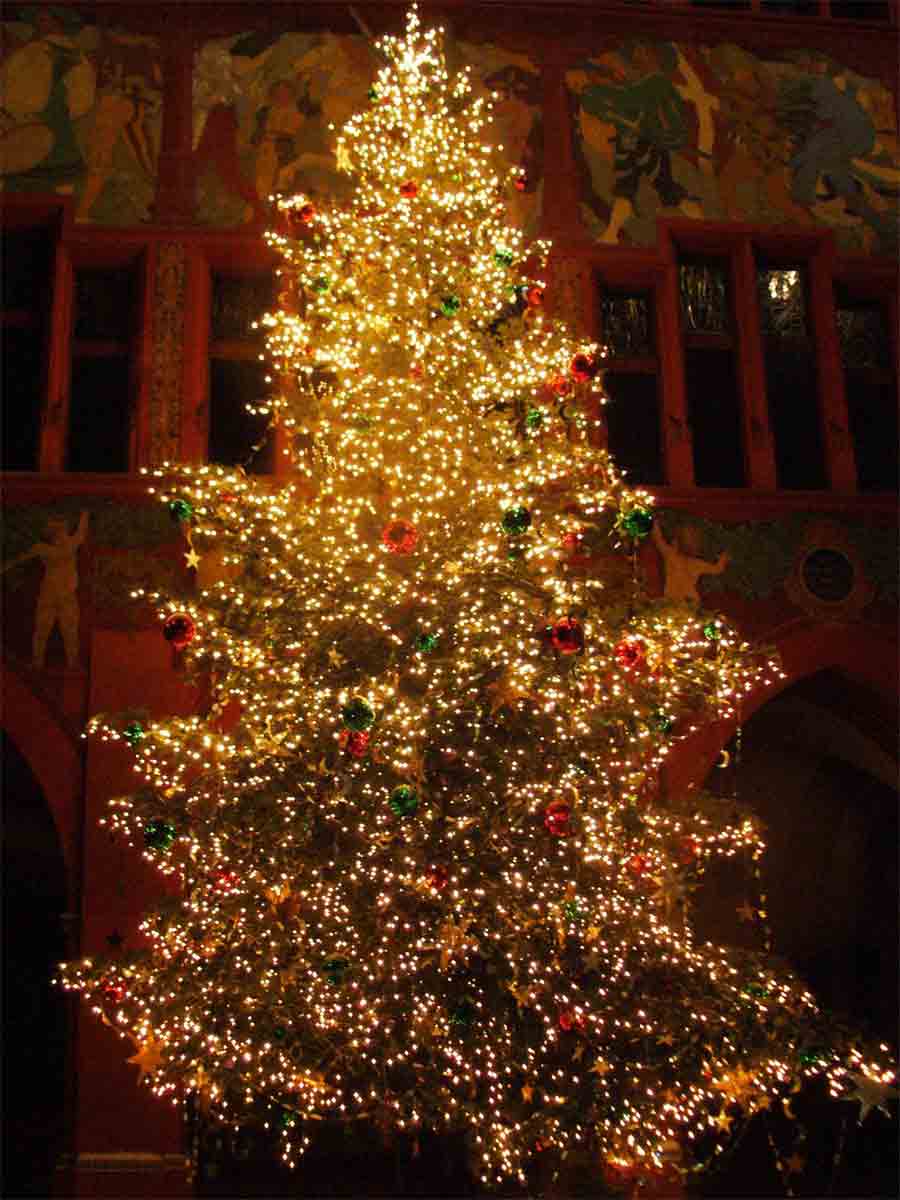 Image borrowed off the internet from here: http://www.worldofchristmas.net/christmas-trees/